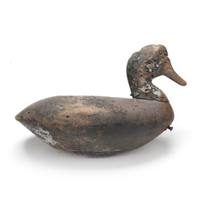 Early Market Hunting Widgeon