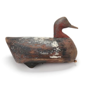 Early Currituck Battery Redhead