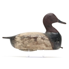 George Waterfield (NC, 1885-1926), Canvasback