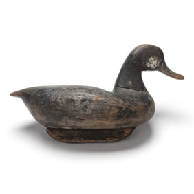 Jim "Buck" Beasley (NC, 1890-1973), Ruddy Duck
