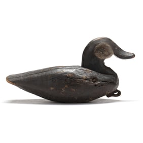 Charlie Waterfield (NC, 1881-1973), Published Ruddy Duck