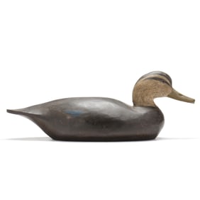James "Corb" Reed (VA, 1897-1987), Black Duck