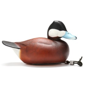 Ben Heinemann (NC), Magnum Ruddy Duck
