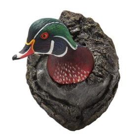 Ben Heinemann (NC), Wood Duck Emerging From Tree