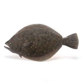 Spencer Tinkham (b. 1992), Flounder