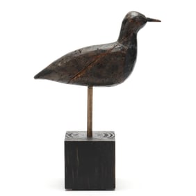 Early Eastern Shore Virginia Black Bellied Plover