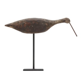 Early Knotts Island Yellowlegs