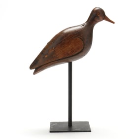 Early Cobb Island Plover