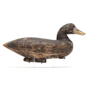 Howard Gaskill (NC, 1896-1926), Hen Bluebill