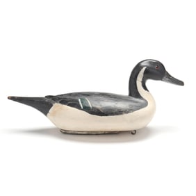 Richard "Fresh Air Dick" Janson (CA, 1872-1951), Pintail