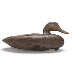 Ike Phillips (VA, 1850s-1950s), Black Duck