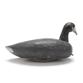 Allen Tillet (NC, 1906-1981), Published Roothead Coot