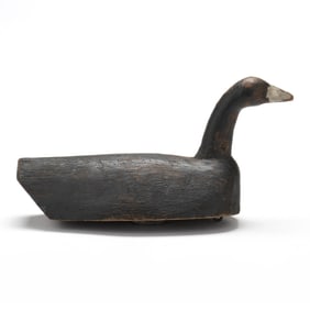 Ike Aydlett (NC, 1885-1979), Published Swimming Coot