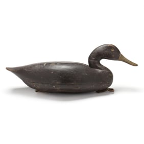 Early Philadelphia School Black Duck