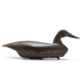 Lester Van Brunt (NJ, 1873-1961), Black Duck