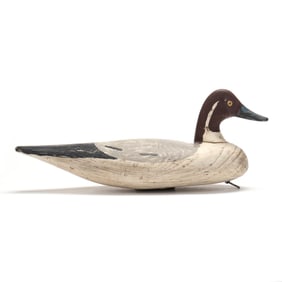 Doug Jester (VA, 1876-1961), Pintail