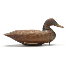Doug Jester (VA, 1876-1961), Black Duck