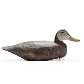 Miles Hancock (VA, 1887-1974), Black Duck