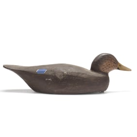 Jimmy Bowden (VA), Black Duck