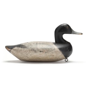 James "Jim" Holly (MD, 1855-1935), Bluebill