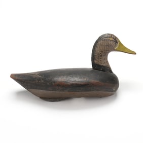 John Glenn (MD, 1876-1954), High Head Black Duck