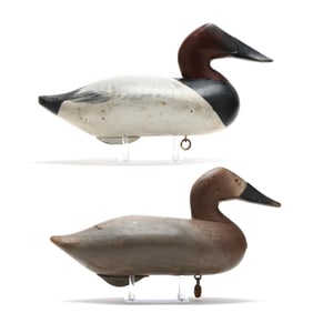 Two Havre de Grace Canvasbacks