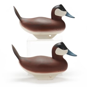 Charlie Bryan (MD, 1920-2008), Pair of Ruddy Ducks