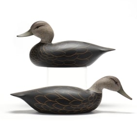 Ross Dedekind (VA), Pair of Black Ducks
