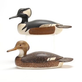 Herb Daisey (VA), Pair of Hooded Mergansers