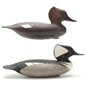 John Hamilton (NJ), Pair of Hooded Mergansers
