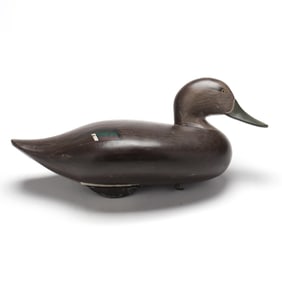 Madison Mitchell (MD, 1901-1993), Black Duck
