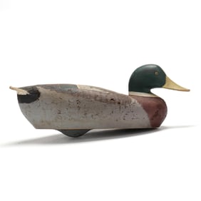 Madison Mitchell (MD, 1901-1993), Mallard