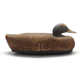 Madison Mitchell (MD, 1901-1993), Oversized Black Duck