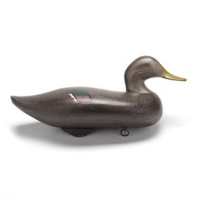 Madison Mitchell (MD, 1901-1993), Black Duck