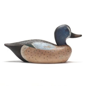 David Lawrence Family (NC), Blue-winged Teal