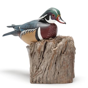 Houston Lewis (NC), Wood Duck