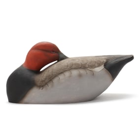 Johnathan Willis (NC), Sleeping Redhead