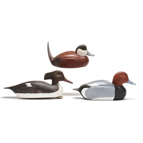 Norman Hancock (NC), Variety of Three Decoy Species