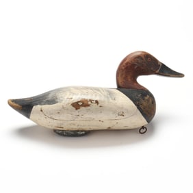 Paul Gibson (MD, 1902-1984), Canvasback