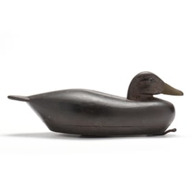 Roswell Bliss (CT, 1887-1967), Black Duck