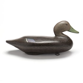 Evans McKinney (MD, 1912-2000), Black Duck