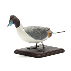 Bill Zack Ward (MD, 1946-2013), Standing Pintail