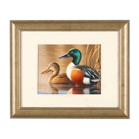 Guy Crittenden (American),  Spoonbills