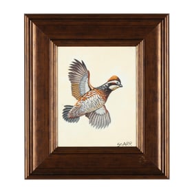 S. Carr (American), Bobwhite Quail in Flight