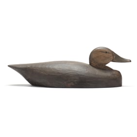 Tom Martindale (Canada,    ), Black Duck