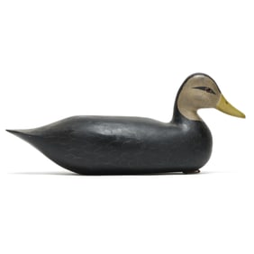 Harry V Shourds (NJ, b. 1930), Black Duck