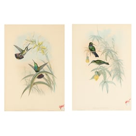 Two Gould and Richter Hummingbird Lithographs