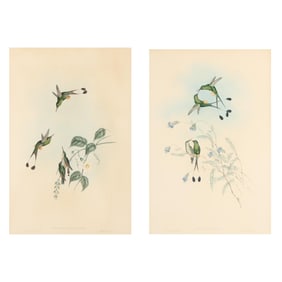 Two Gould and Richter Hummingbird Lithographs