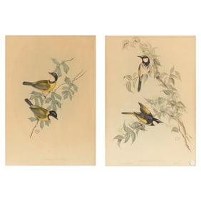 Two Gould and Richter Bird Lithographs
