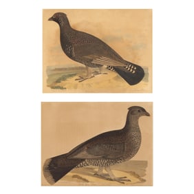 After Alexander Rider (American, active 1810-1834), Pair of Grouse Engravings
